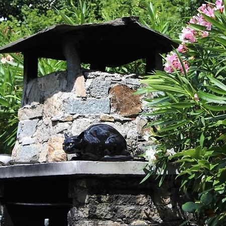 Casa Colori Villa Poggiridenti Ngoại thất bức ảnh